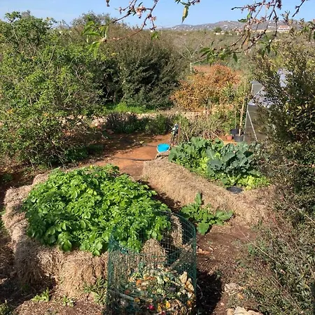 Nyaraló Quinta Bohemia Moncarapacho