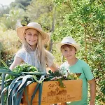 בית נופש Quinta Bohemia מונקאראפאצ'ו