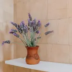 Quinta Bohemia Vakantiehuis Moncarapacho