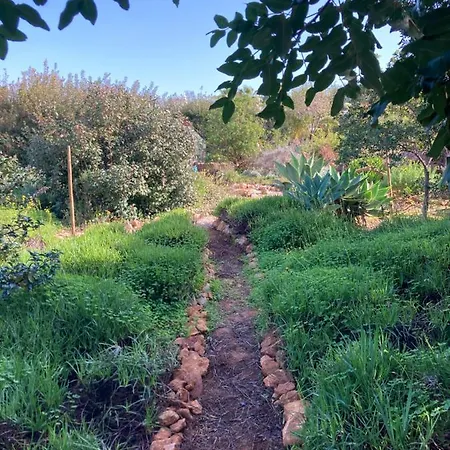 Quinta Bohemia בית נופש *