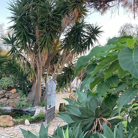 Quinta Bohemia Сasa de vacaciones Moncarapacho