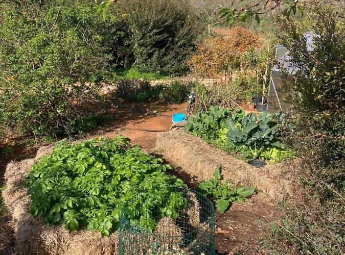 בית נופש Quinta Bohemia מונקאראפאצ'ו