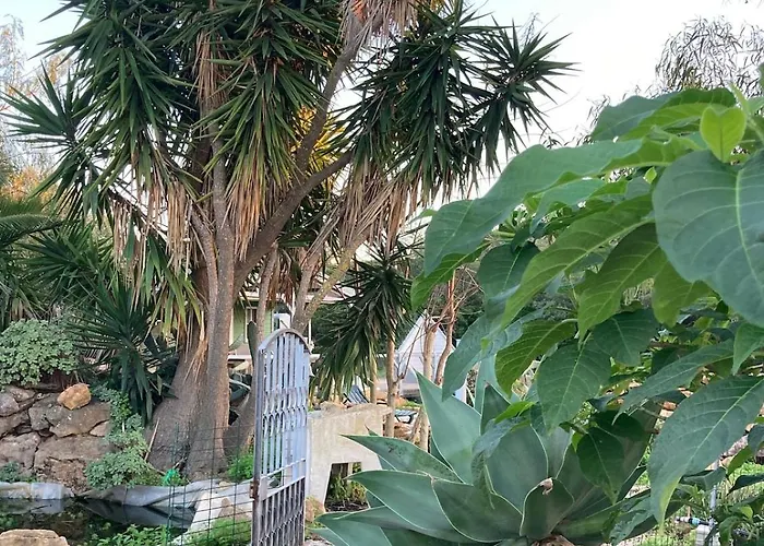 Quinta Bohemia בית נופש מונקאראפאצ'ו